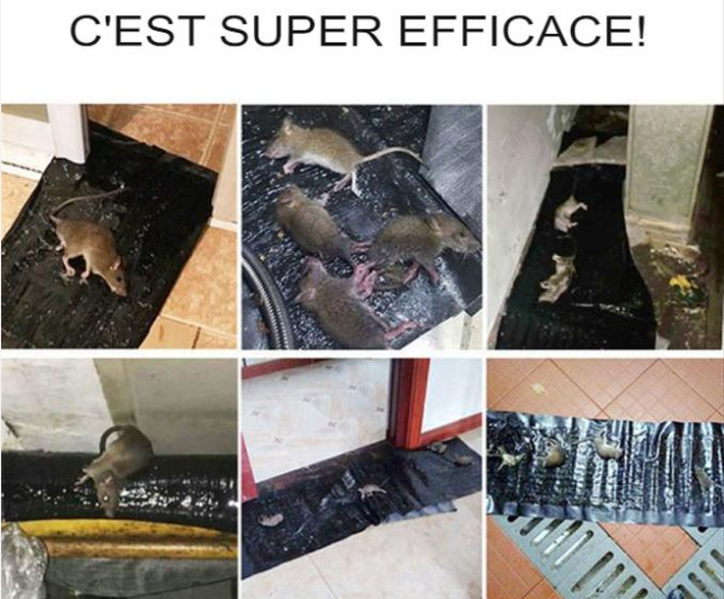 𝑻𝙖𝒑𝙞𝒔 𝒑𝙞𝒆̀𝙜𝒆 𝒂̀ 𝒔𝙤𝒖𝙧𝒊𝙨 𝙘𝒐𝙡𝒍𝙖𝒏𝙩𝒆 : 1𝙢20 𝙨𝒖𝙧 28𝘾𝒎