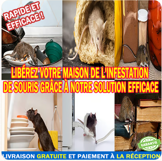 𝑻𝙖𝒑𝙞𝒔 𝒑𝙞𝒆̀𝙜𝒆 𝒂̀ 𝒔𝙤𝒖𝙧𝒊𝙨 𝙘𝒐𝙡𝒍𝙖𝒏𝙩𝒆 : 1𝙢20 𝙨𝒖𝙧 28𝘾𝒎