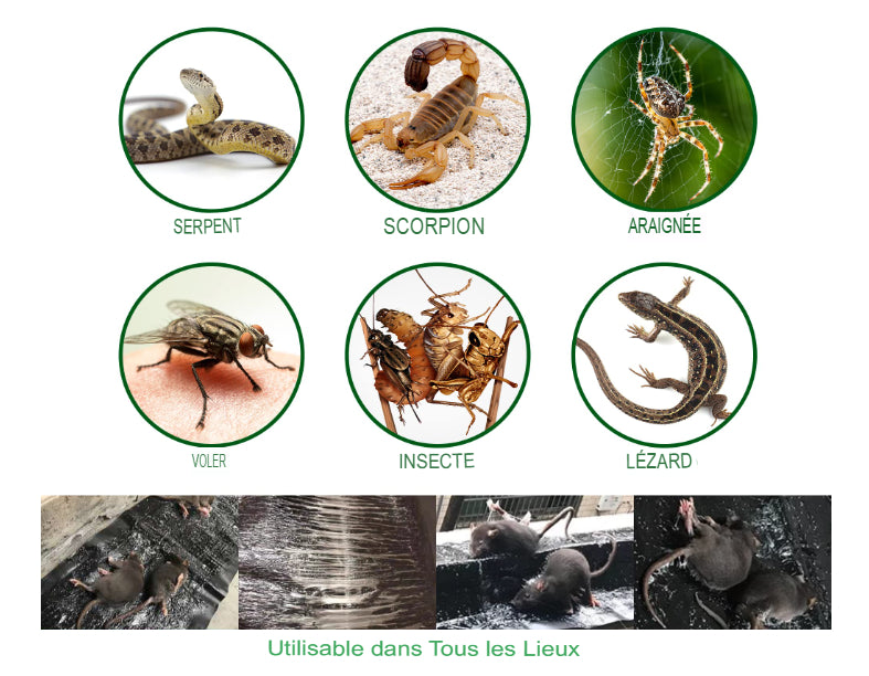 𝑻𝙖𝒑𝙞𝒔 𝒑𝙞𝒆̀𝙜𝒆 𝒂̀ 𝒔𝙤𝒖𝙧𝒊𝙨 𝙘𝒐𝙡𝒍𝙖𝒏𝙩𝒆 : 1𝙢20 𝙨𝒖𝙧 28𝘾𝒎