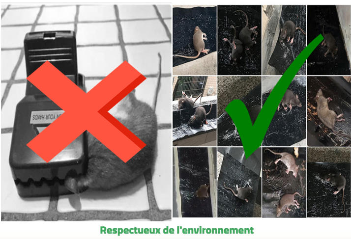 𝑻𝙖𝒑𝙞𝒔 𝒑𝙞𝒆̀𝙜𝒆 𝒂̀ 𝒔𝙤𝒖𝙧𝒊𝙨 𝙘𝒐𝙡𝒍𝙖𝒏𝙩𝒆 : 1𝙢20 𝙨𝒖𝙧 28𝘾𝒎