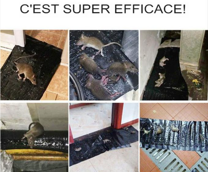 𝑻𝙖𝒑𝙞𝒔 𝒑𝙞𝒆̀𝙜𝒆 𝒂̀ 𝒔𝙤𝒖𝙧𝒊𝙨 𝙘𝒐𝙡𝒍𝙖𝒏𝙩𝒆 : 1𝙢20 𝙨𝒖𝙧 28𝘾𝒎